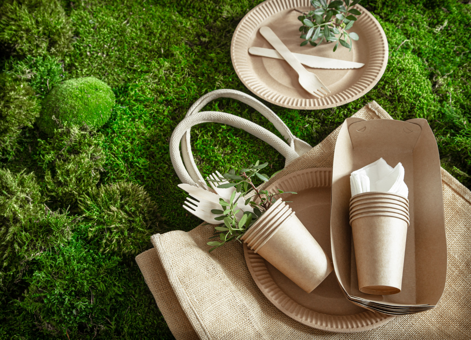 Sustainable Packaging in E-commerce: Innovations and Environmental Impact